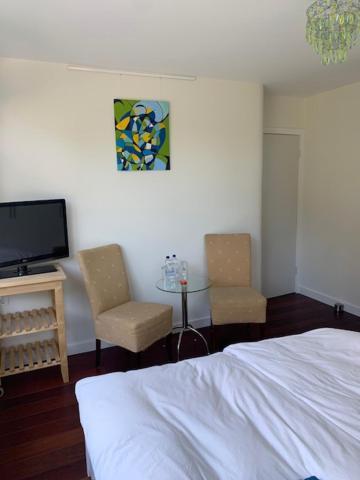 Villa Cosy Central Incl Jacuzzi Near Trainstation, Beach And City Heemstede Exterior photo