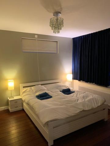 Villa Cosy Central Incl Jacuzzi Near Trainstation, Beach And City Heemstede Exterior photo